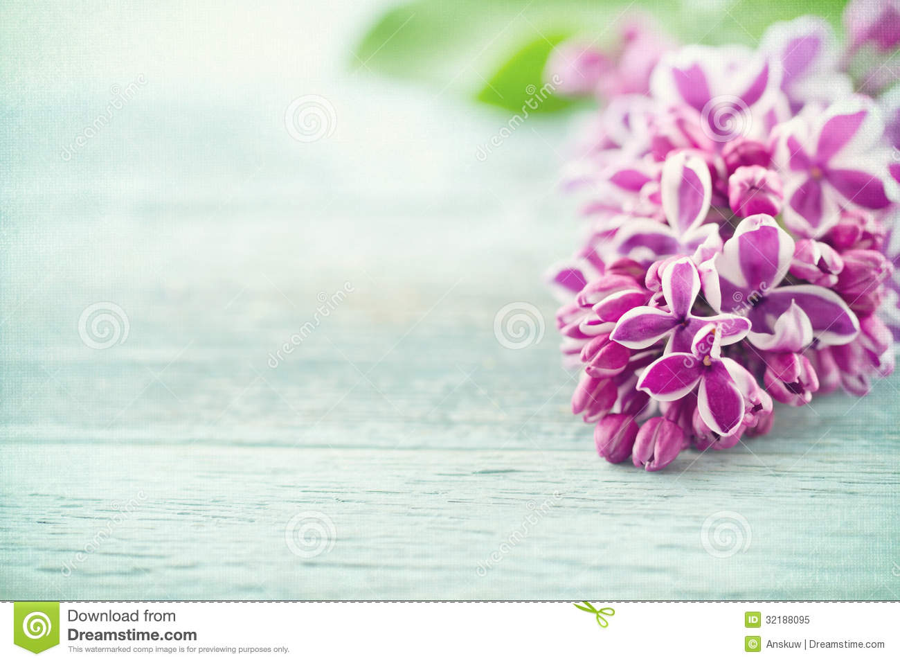 Purple Spring Flowers Background Vintage