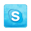 Social Media Icons Skype