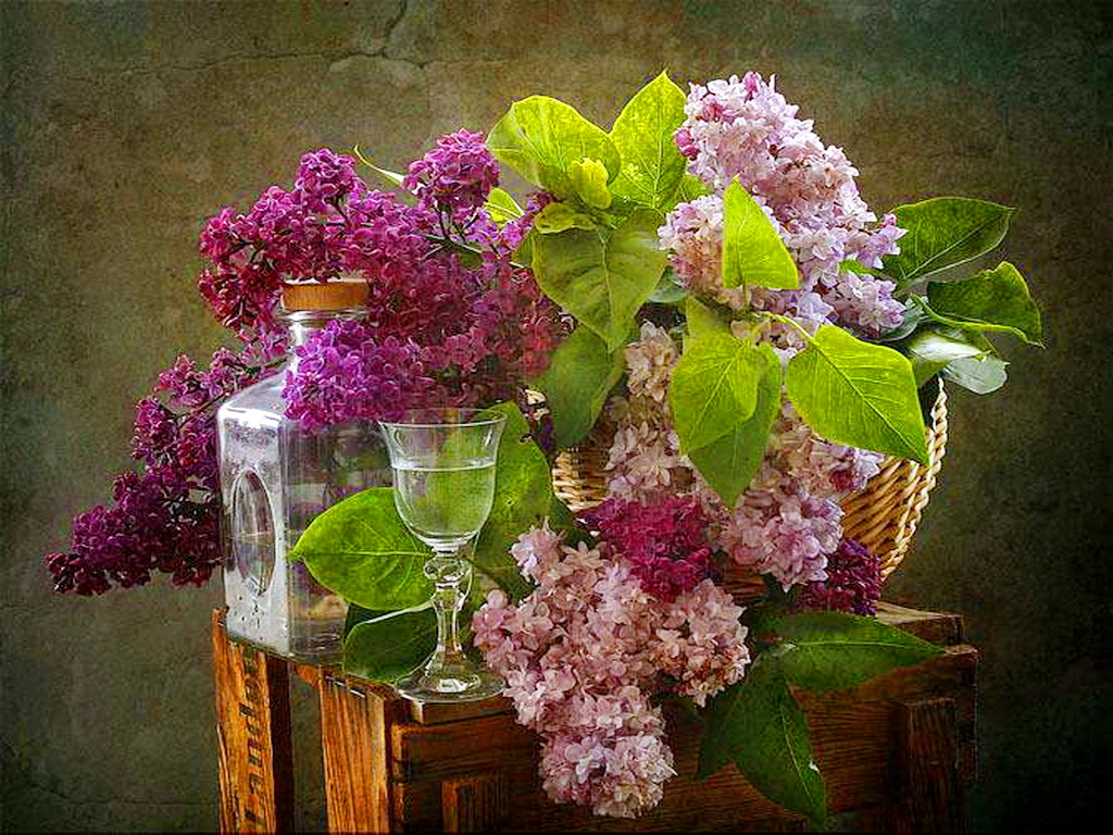 Spring Flower Wallpaper for Desktop Lilacs