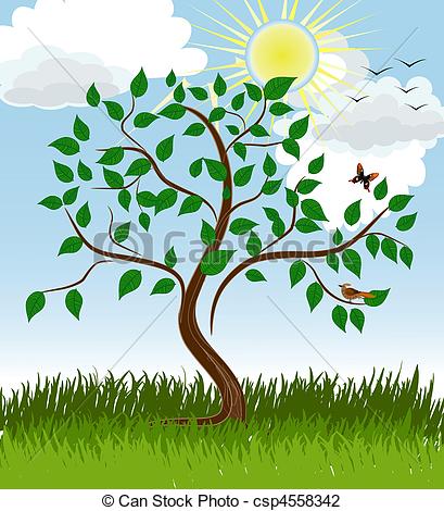 Summer Clip Art Tree Drawings