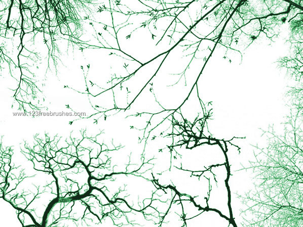 Tree Branches Photoshop Brushes