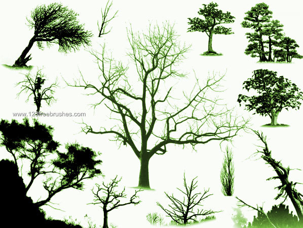 Tree Brush Photoshop Tree Brush Photoshop