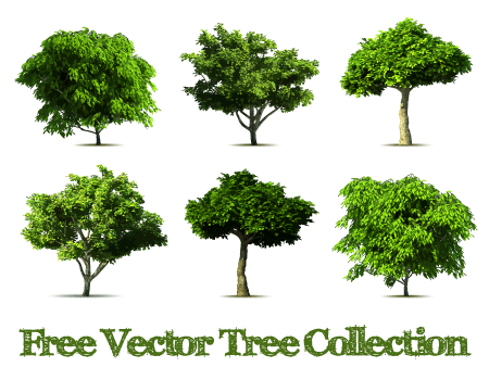 Tree Vector Free Download
