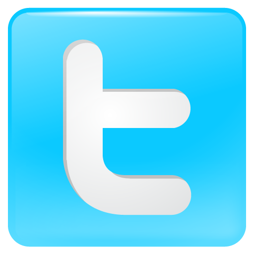 Twitter Icon Button