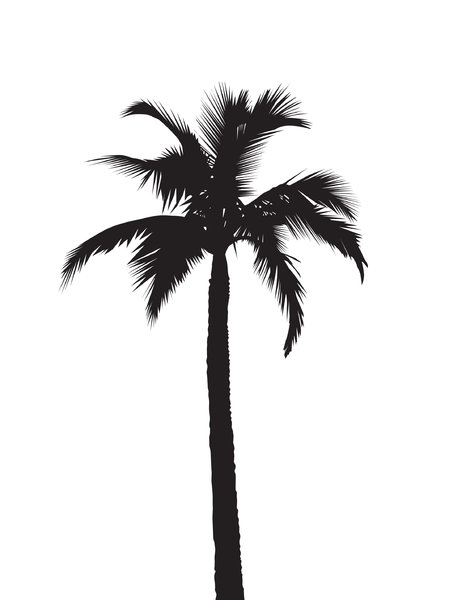 15 Black Palm Tree Vector Images