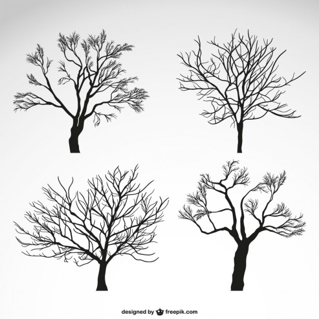 Winter Tree Silhouette Vector