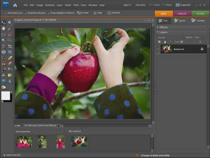 Actions Photoshop Elements Tutorials