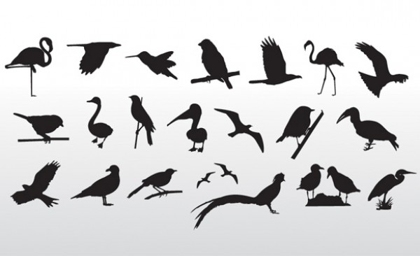 Bird Silhouette PSD