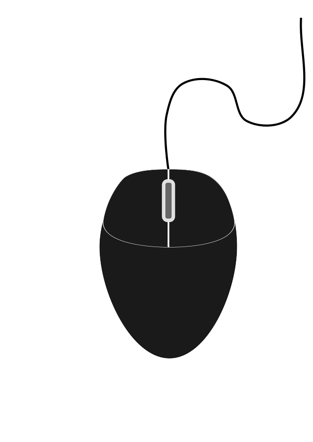 Black and White Computer Mouse