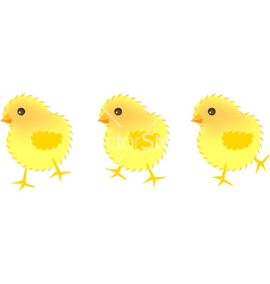 Chick Vector Art