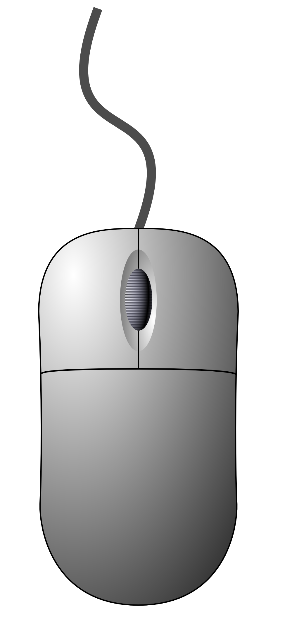 Computer Mouse Top View