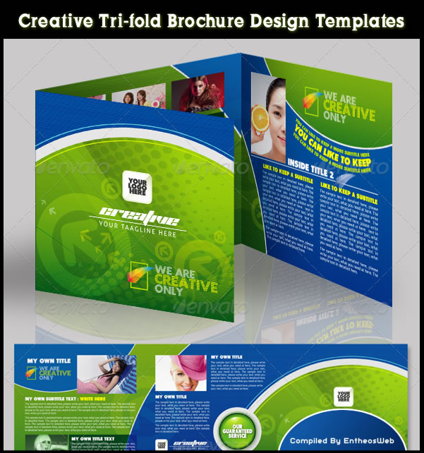 Creative Tri-Fold Brochure Design