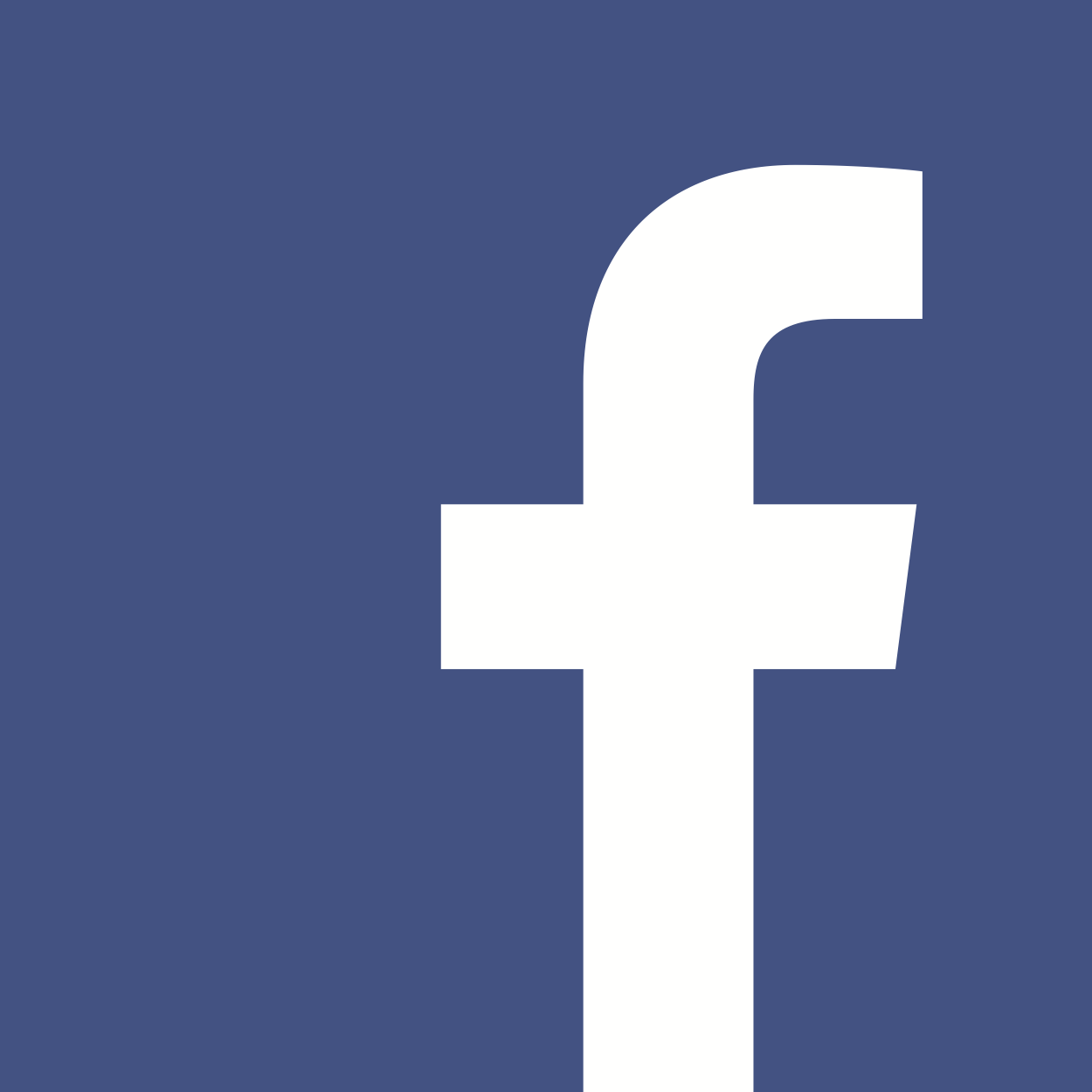 Facebook Logo Icon White