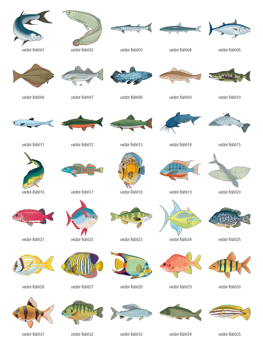 Fish Clip Art Vector Free Download