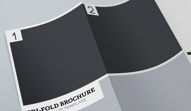 Free Tri-Fold Brochure Template InDesign