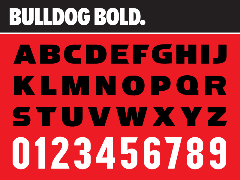 Georgia Bulldogs Word Font