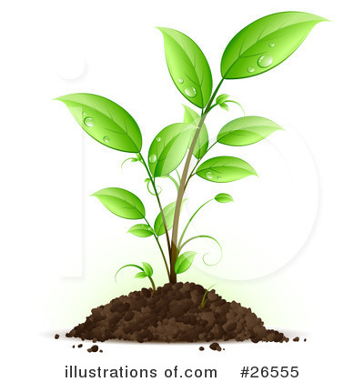 Green Plant Clip Art