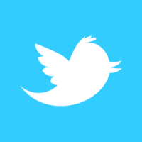 Official Twitter Icons for Websites