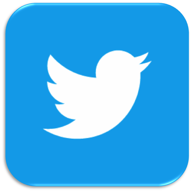 Official Twitter Logo Icon