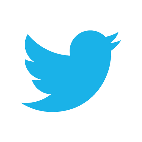 Official Twitter Logo Icon