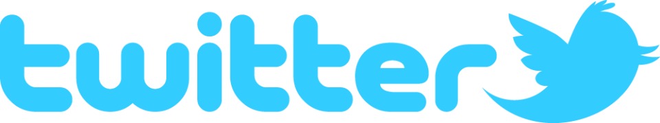 Official Twitter Logo Icon