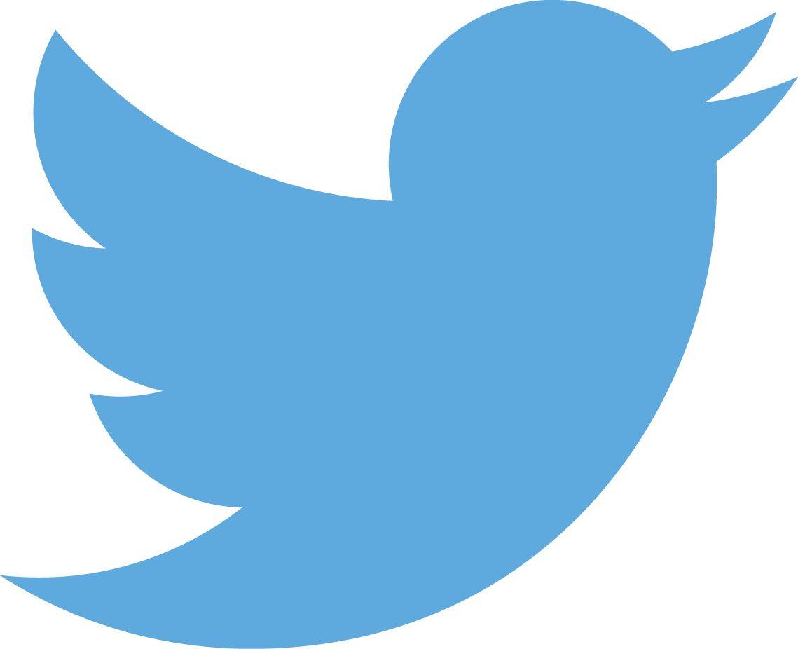 Official Twitter Logo Transparent