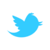 Official Twitter Logo