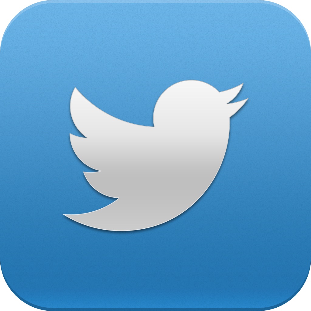 Official Twitter Logo