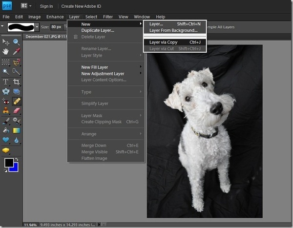 Photoshop Elements Tutorial