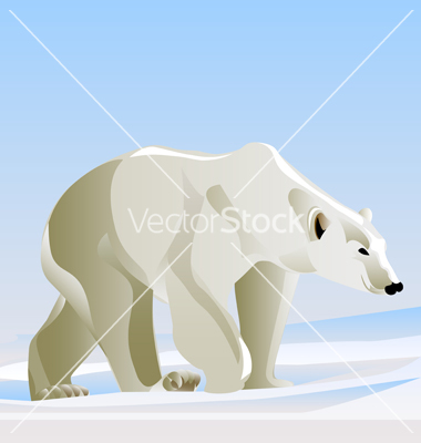 Polar Bear Vector Art