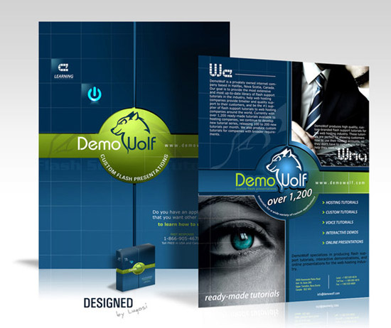 15 Professional Brochure Design Images