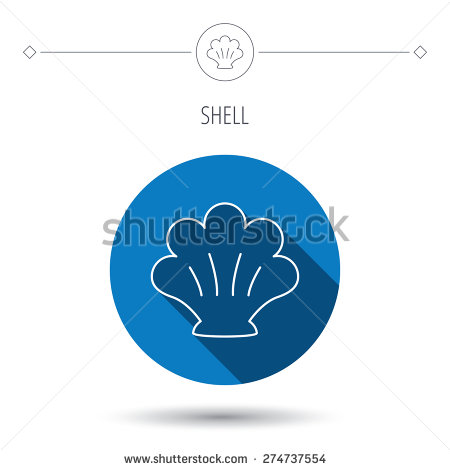 Sea Shell Vector