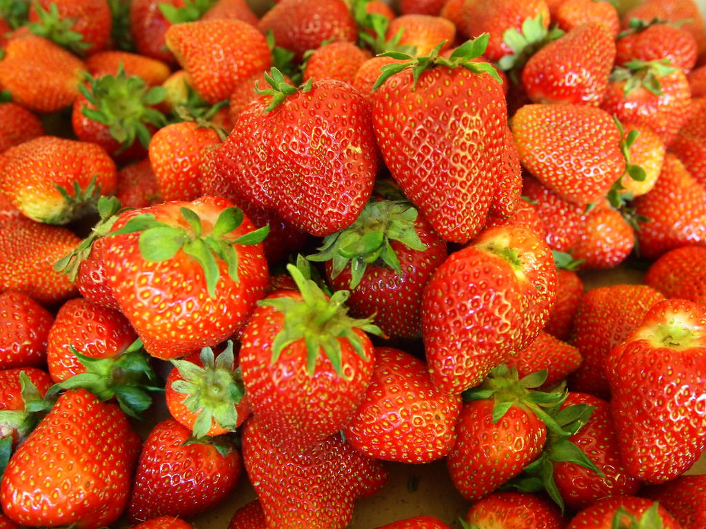 11 Creative Commons Stock Photography Strawberry Images