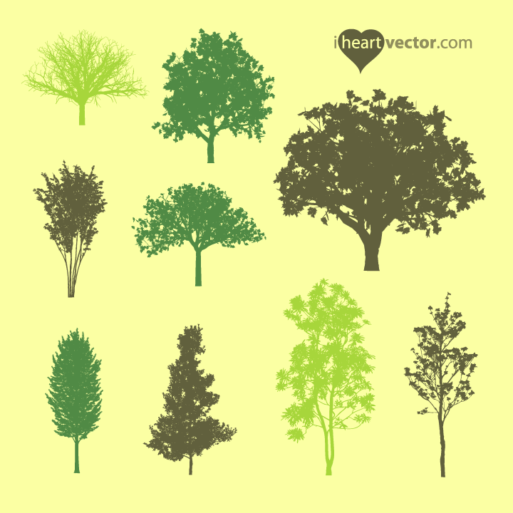 Tree Vector