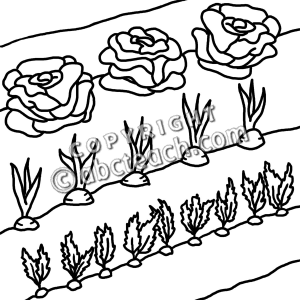 Vegetable Garden Clip Art Black and White