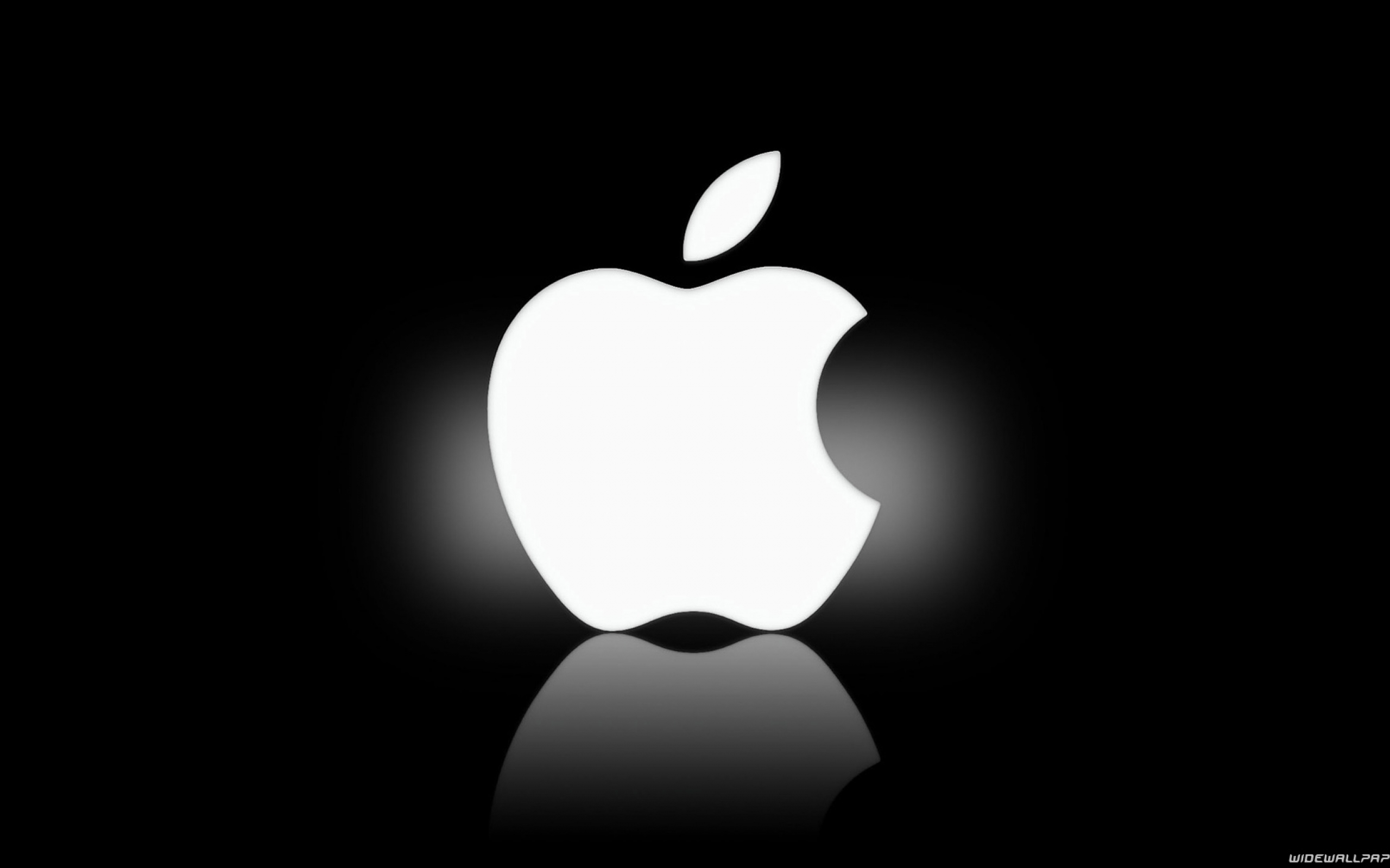 16 White Apple Icon Images