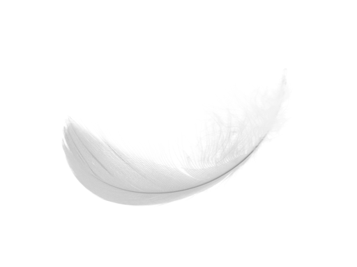 White Feathers