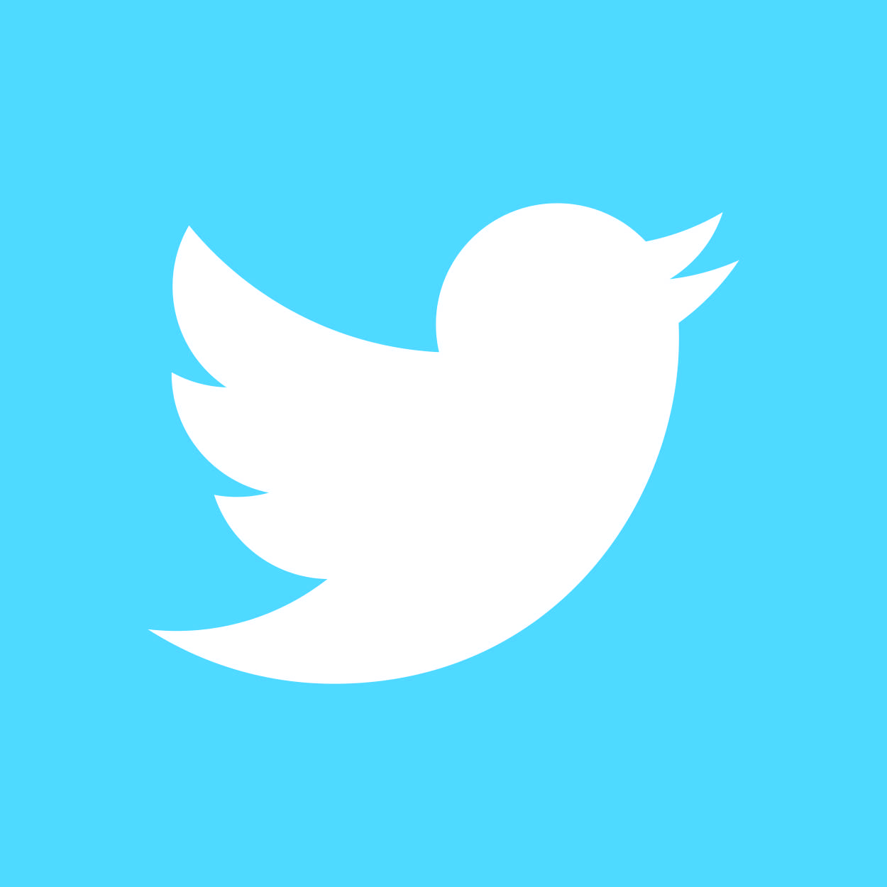 White Twitter Bird