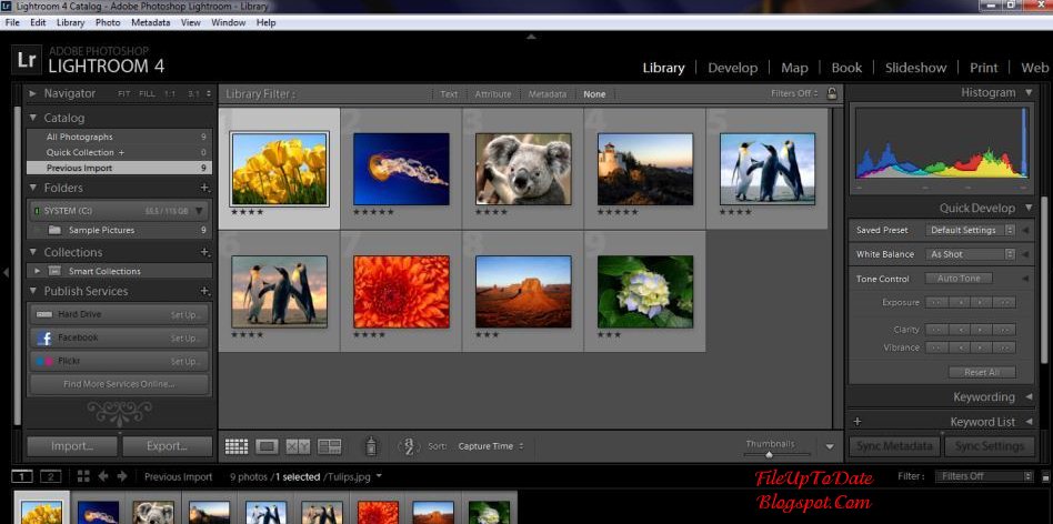 Adobe Photoshop Lightroom Download