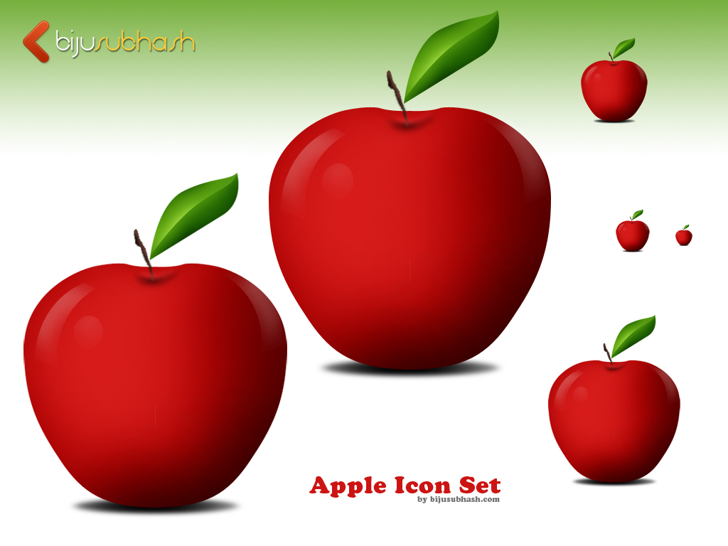 Apple Settings Icon Apple Settings Icon
