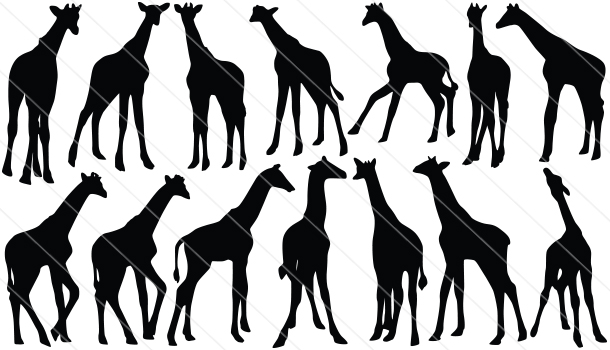 Baby Giraffe Silhouette Vector