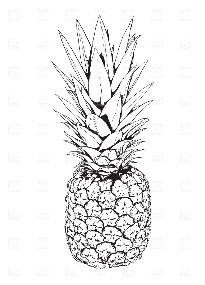 Black and White Pineapple Vector