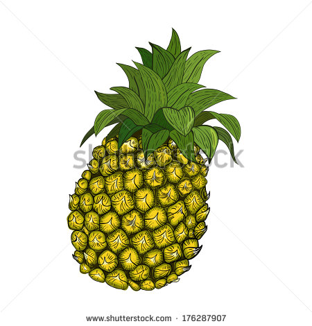 Black and White Pineapple Vector