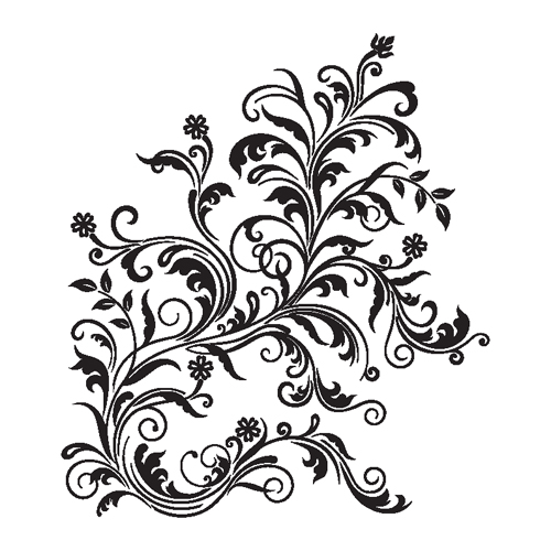 Black and White Swirls Black and White Swirls