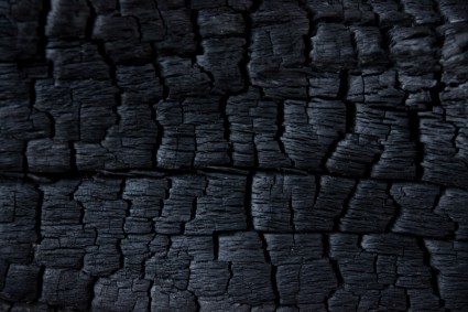 Burnt Wood Texture