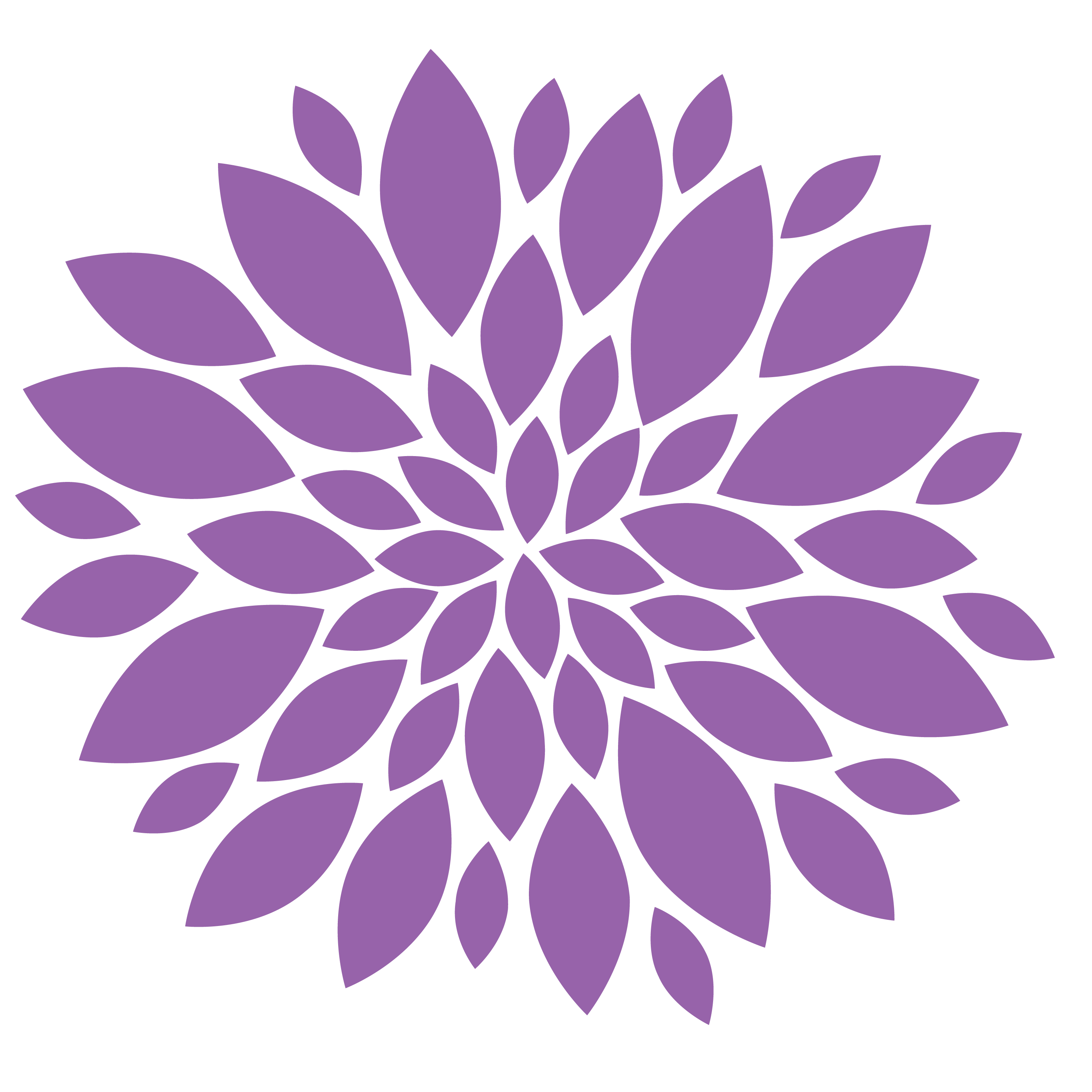 Chrysanthemum Flower Clip Art