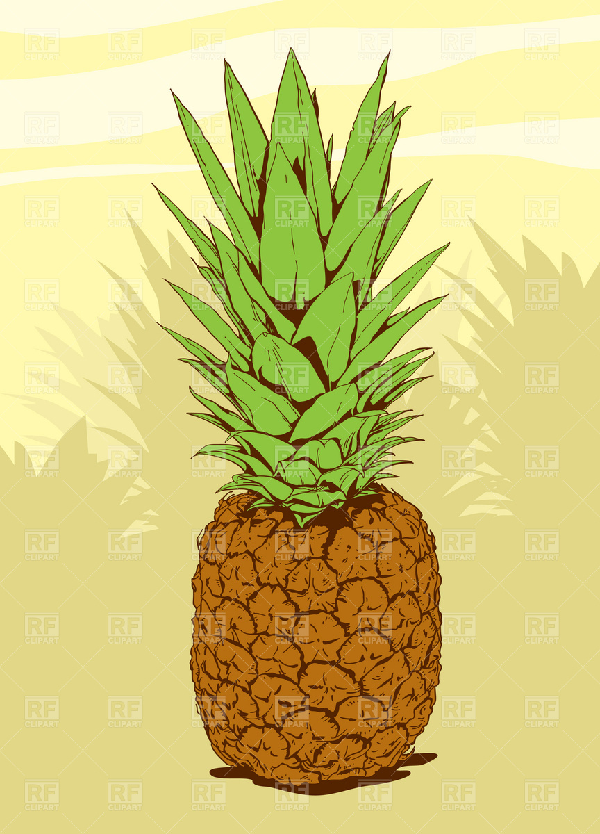 Clip Pineapple Vector Art