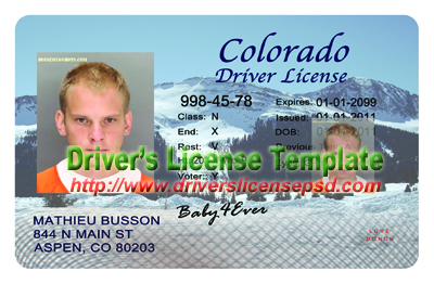 Colorado Drivers License Template