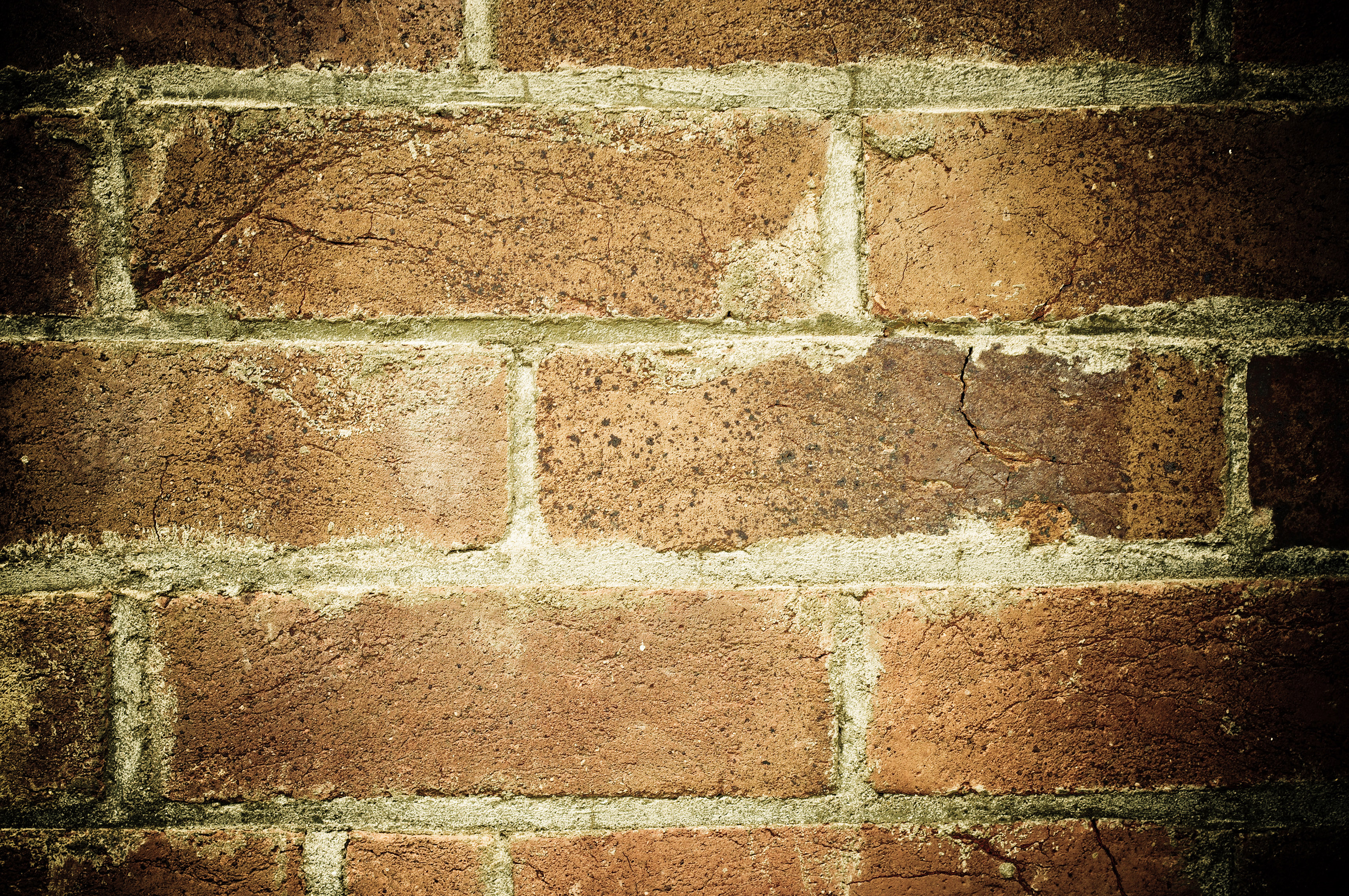 Free Old Brick Wall Texture