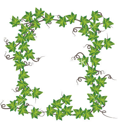 Green Ivy Clip Art